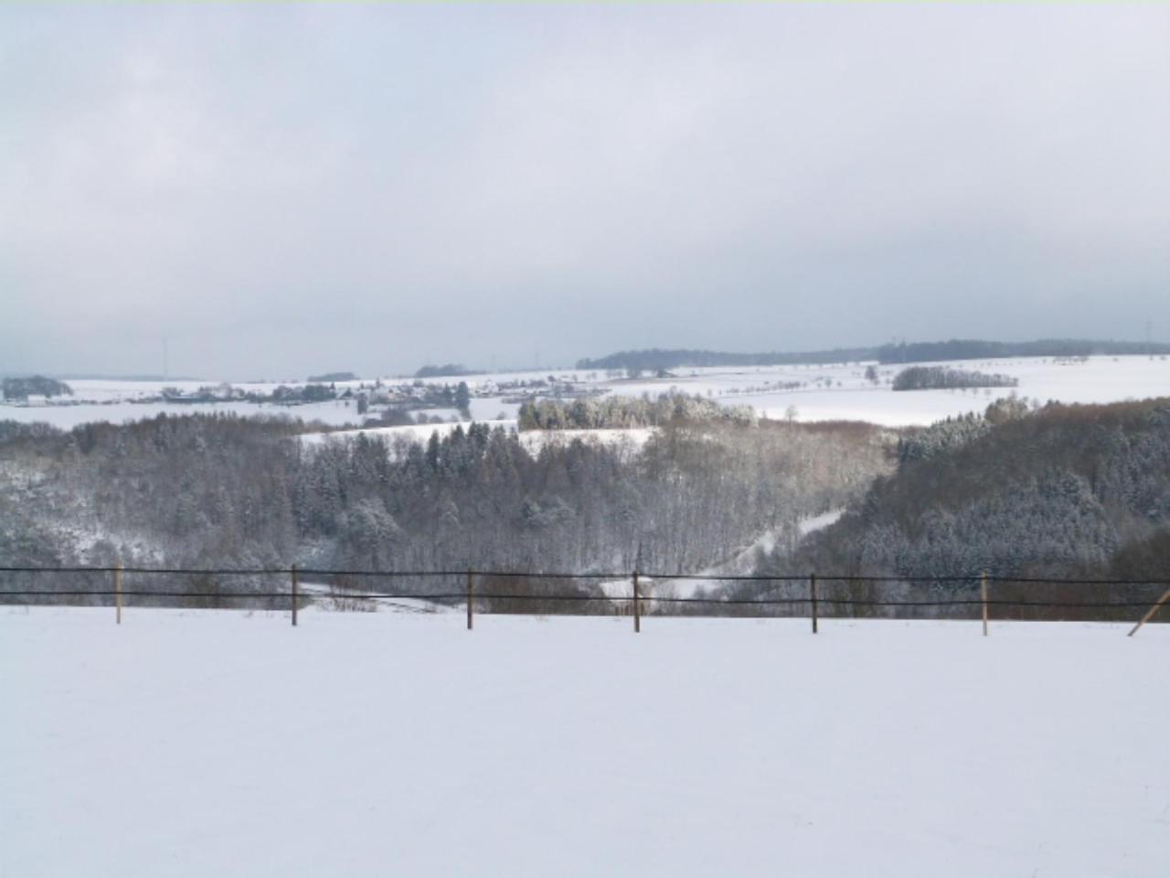 Villa Mosel Морбах Екстериор снимка